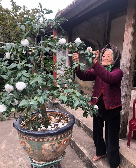  Cụ bà cao tuổi nhất Việt Nam vẫn ngày ngày chăm sóc cây cối, vườn tược. (Ảnh: Vietnamnet)