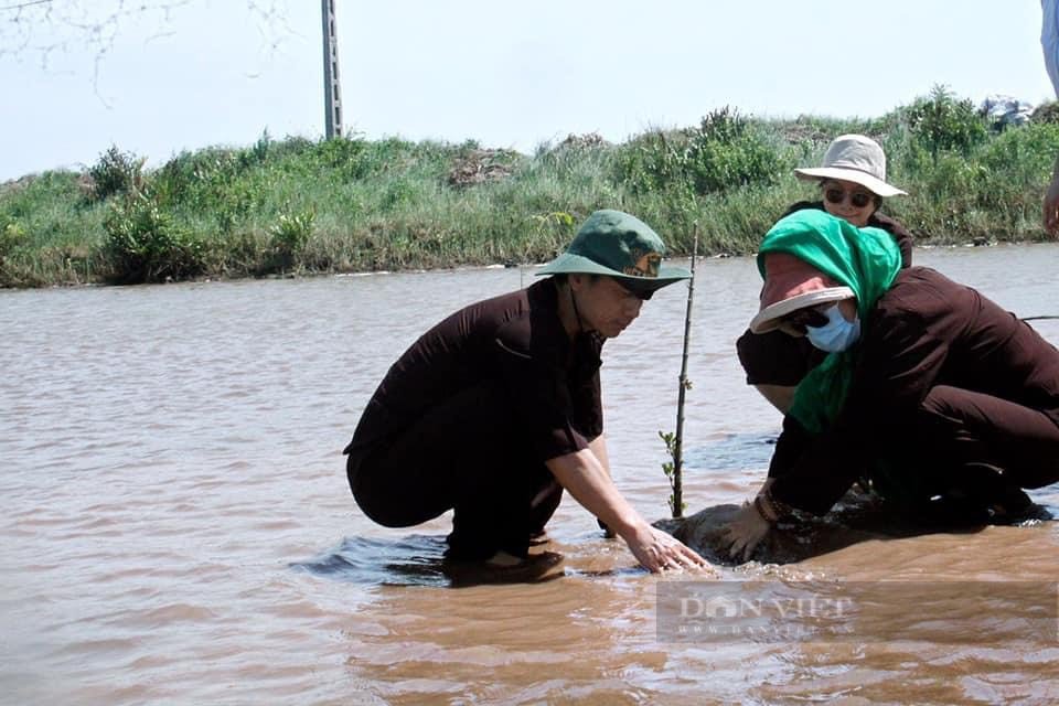 thu nhập trồng rừng ngập mặn 