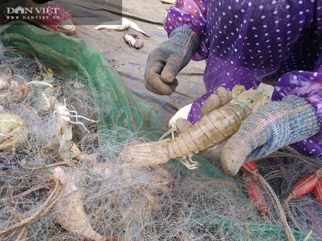 Nam Định: Vùng đất này nhà tầng mọc san sát, xưa chỉ là một làng chài nghèo, lại có thêm nhà thờ đổ. - Ảnh 10.