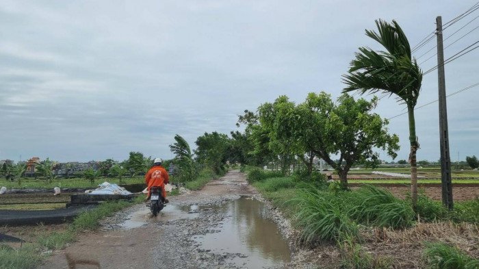 Thái Bình: Đường liên xã xuống cấp nghiêm trọng, đầy rẫy bẫy người đi đường 4