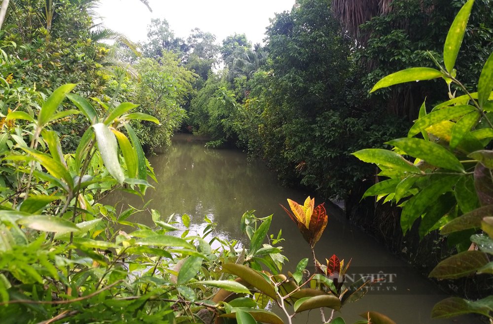 Chiêm ngưỡng cổ vật quý trong ngôi nhà cổ hơn 100 năm tuổi của Tam Nguyên Yên Đổ ở Hà Nam - Ảnh 16.