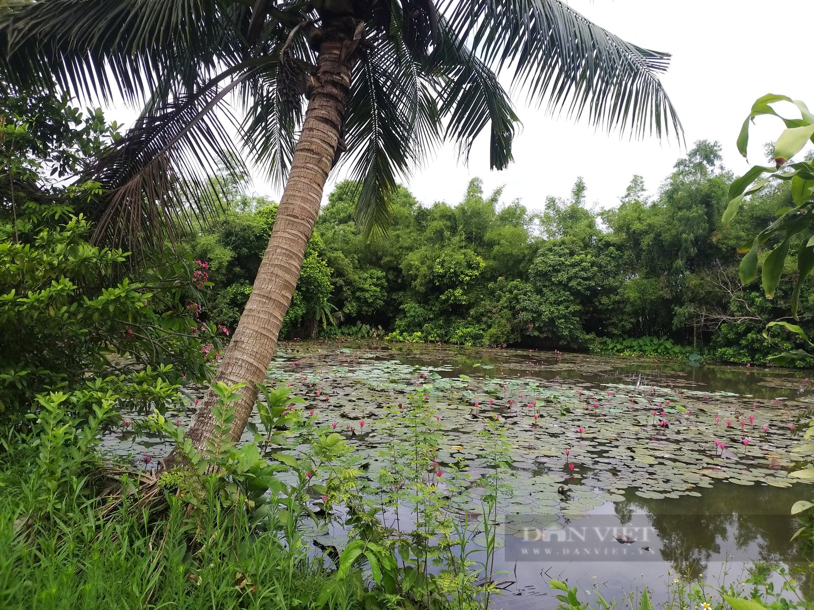 Chiêm ngưỡng cổ vật quý trong ngôi nhà cổ hơn 100 năm tuổi của Tam Nguyên Yên Đổ ở Hà Nam - Ảnh 17.