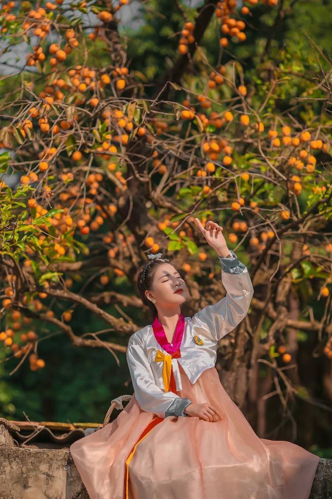 Cây hồng cổ trăm tuổi ở Ninh Bình từng gây sốt khiến du khách được phen "ú òa" vì gắn quả giả - Ảnh 1. Cây hồng cổ trăm tuổi ở Ninh Bình từng gây sốt khiến du khách được phen "ú òa" vì gắn quả giả - Ảnh 1.