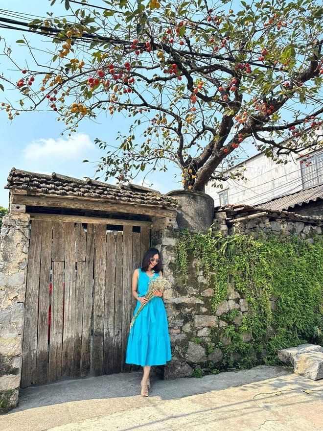 Cây hồng cổ trăm tuổi ở Ninh Bình từng gây sốt khiến du khách được phen "ú òa" vì gắn quả giả - Ảnh 3. Cây hồng cổ trăm tuổi ở Ninh Bình từng gây sốt khiến du khách được phen "ú òa" vì gắn quả giả - Ảnh 3.