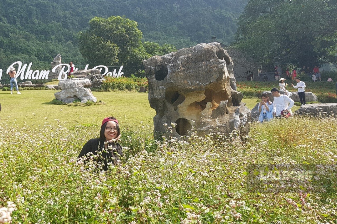 Ông Phạm Công Chất, chủ khu du lịch vườn chim Thung Nham cho biết, giống hoa tam giác mạch được đưa từ Hà Giang về trồng thử. “Ban đầu ai cũng nghĩ loài hoa này sẽ không phát triển được ở Ninh Bình. Nhưng khi được gieo xuống đất đồi Thung Nham, cây tam giác mạch phát triển tốt và chỉ sau hơn một tháng thì bung nở hoa”. Ảnh: NT