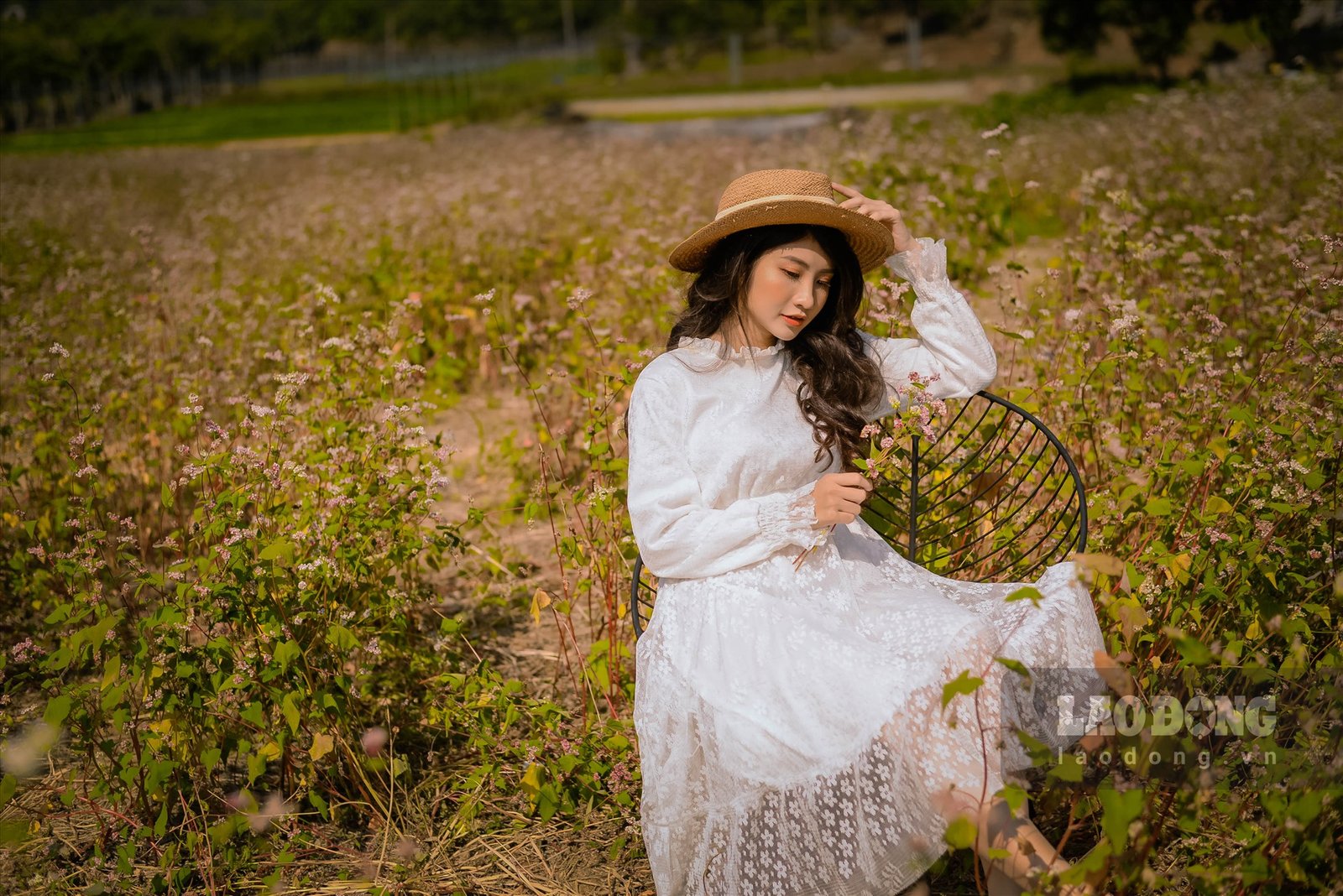 Để cho hoa nở đẹp thì phải cần độ ẩm cao và thời tiết phải lạnh, nhiệt độ thấp màu hoa sẽ đẹp hơn. Thung Nham là thung lũng có độ cao nên thời tiết thuận lợi cho loài hoa tam giác mạch phát triển. Ảnh: NT