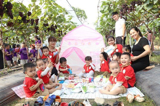 Choáng ngợp trước vườn nho sai trĩu quả thu hút đông đảo khách tham quan ở Ninh Bình - Ảnh 7.