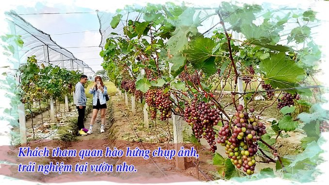 images1345593_anh_4