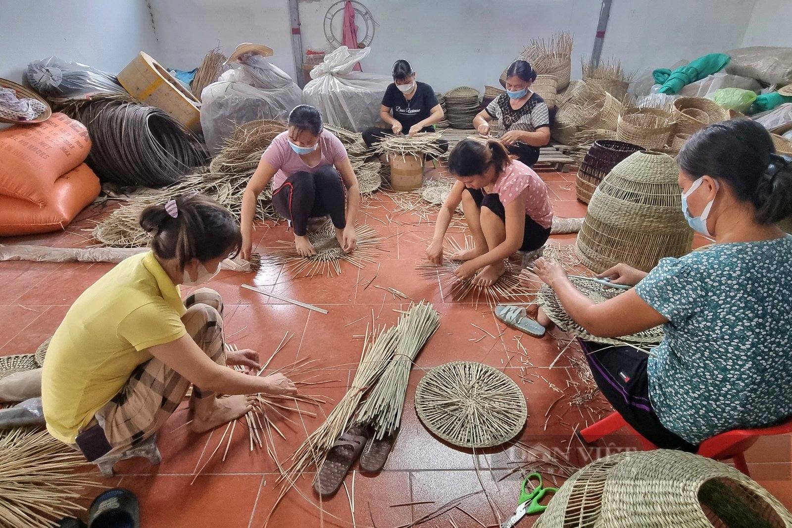Ninh Bình: Một nông dân sản xuất kinh doanh giỏi dạy nghề, tạo việc làm cho hơn 100 hội viên, nông dân - Ảnh 3. Ninh Bình: Một nông dân sản xuất kinh doanh giỏi dạy nghề, tạo việc làm cho hơn 100 hội viên, nông dân - Ảnh 3.