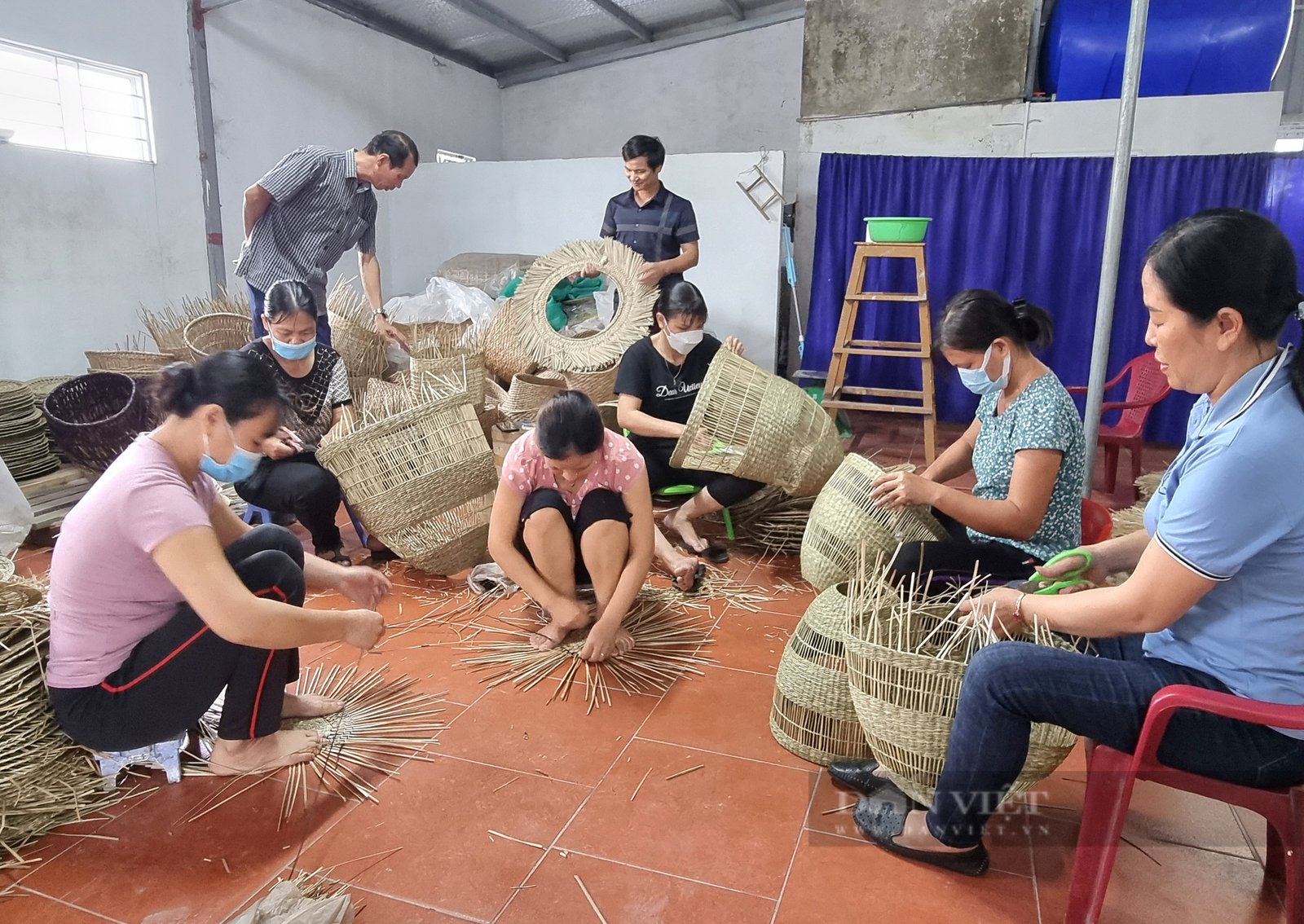 Ninh Bình: Một nông dân sản xuất kinh doanh giỏi dạy nghề, tạo việc làm cho hơn 100 hội viên, nông dân - Ảnh 6. Ninh Bình: Một nông dân sản xuất kinh doanh giỏi dạy nghề, tạo việc làm cho hơn 100 hội viên, nông dân - Ảnh 6.
