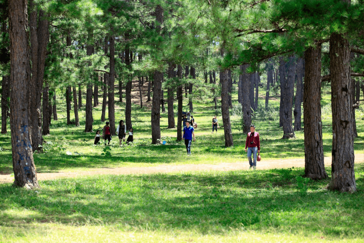 diadiemdulichninhbinh1