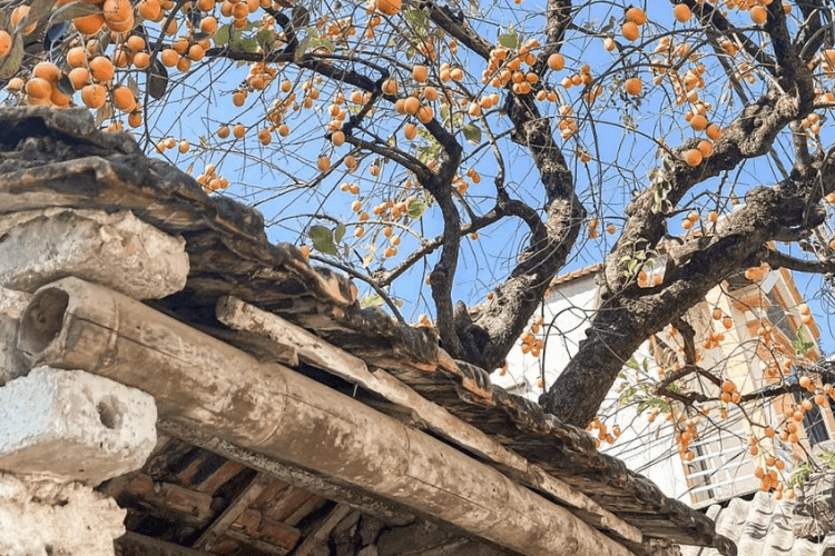 diadiemdulichninhbinh2