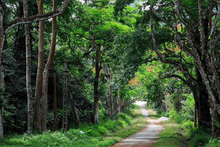 diadiemdulichninhbinh7