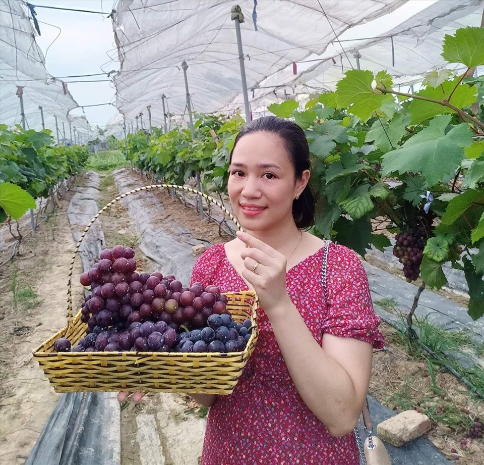 Chị Nguyễn Thị Hoa (33 tuổi, trú TP.Thái Bình) tỏ ra thích thú khi đến tham quan vườn nho của Oanh. Ảnh: T.D