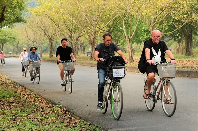 Hàng cây bồ đề dài 10km độc đáo ở Ninh Bình Hàng cây bồ đề dài 10km độc đáo ở Ninh Bình