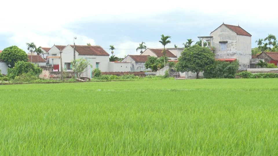 Làng này ở Thái Bình nhìn đâu cũng ra "đồ cổ", từ đình cổ, giếng cổ cho tới nhà cổ - Ảnh 1. Làng này ở Thái Bình nhìn đâu cũng ra "đồ cổ", từ đình cổ, giếng cổ cho tới nhà cổ - Ảnh 1.
