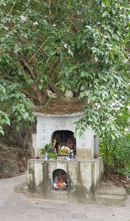 Một ngọn núi nhỏ ở Ninh Bình mà nổi tiếng cả nước, vách đá khắc nhiều bài thơ cổ nhất Việt Nam - Ảnh 6. Một ngọn núi nhỏ ở Ninh Bình mà nổi tiếng cả nước, vách đá khắc nhiều bài thơ cổ nhất Việt Nam - Ảnh 6.