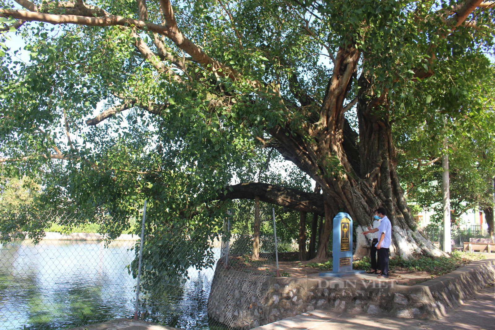 Về Nam Định thăm làng cổ Dịch Diệp nghe tiếng thoi đưa, ngắm "bổ đề đại lão" nghìn tuổi - Ảnh 8. Về Nam Định thăm làng cổ Dịch Diệp nghe tiếng thoi đưa, ngắm "bổ đề đại lão" nghìn tuổi - Ảnh 8.