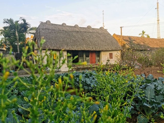 me man voi ve dep moc mac cua ngoi nha mai ra o mien que gao tam