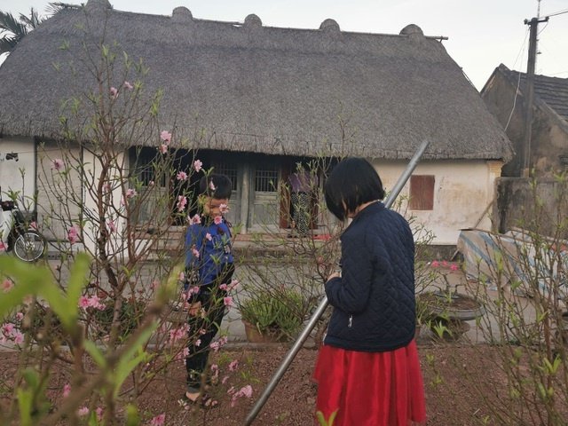 me man voi ve dep moc mac cua ngoi nha mai ra o mien que gao tam