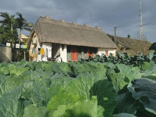 me man voi ve dep moc mac cua ngoi nha mai ra o mien que gao tam