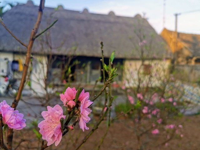 me man voi ve dep moc mac cua ngoi nha mai ra o mien que gao tam