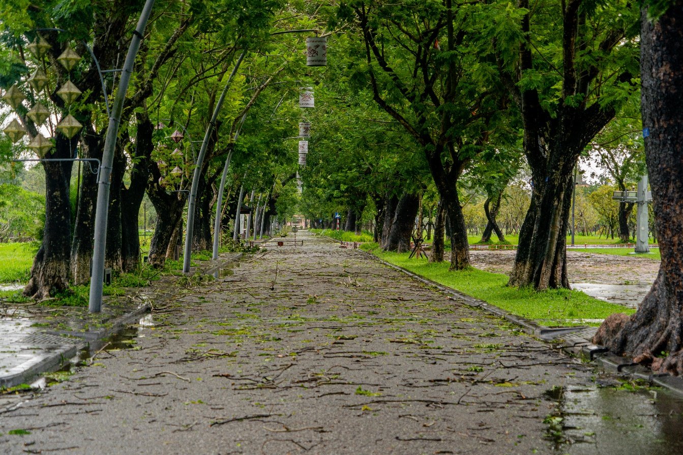 Cố đô Huế đứng vững trước bão lớn, đón du khách trở lại vào chiều nay - Hình 6