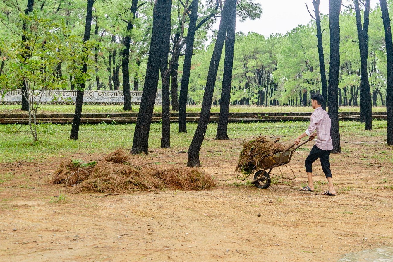 Cố đô Huế đứng vững trước bão lớn, đón du khách trở lại vào chiều nay - Hình 14