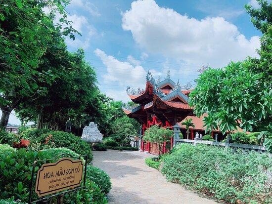 Thong dong dạo chơi Nam Định mà cứ ngỡ lạc vào phim trường, tha hồ pose ảnh "nghìn like" ảnh 4