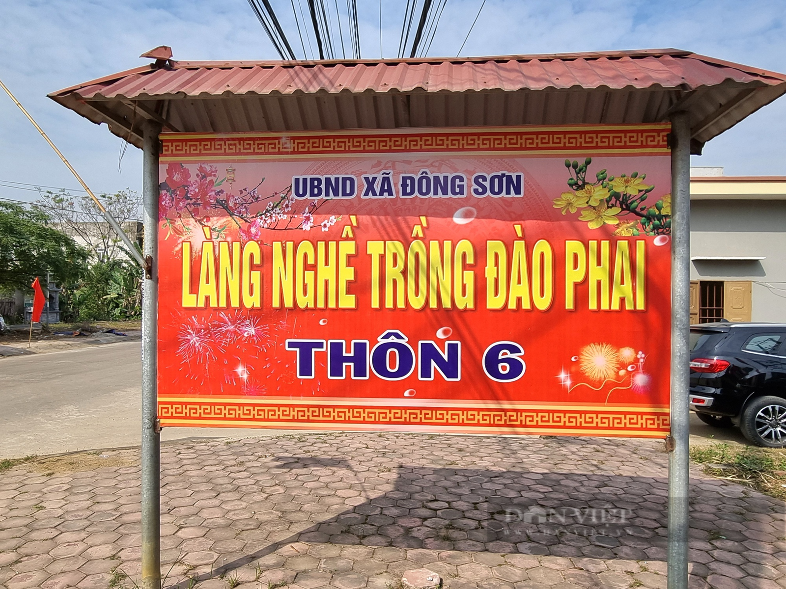 Ninh Bình: U60 chia sẻ cách chăm sóc cây đào phai nở hoa đúng dịp Tết - Ảnh 6. Ninh Bình: U60 chia sẻ cách chăm sóc cây đào phai nở hoa đúng dịp Tết - Ảnh 6.