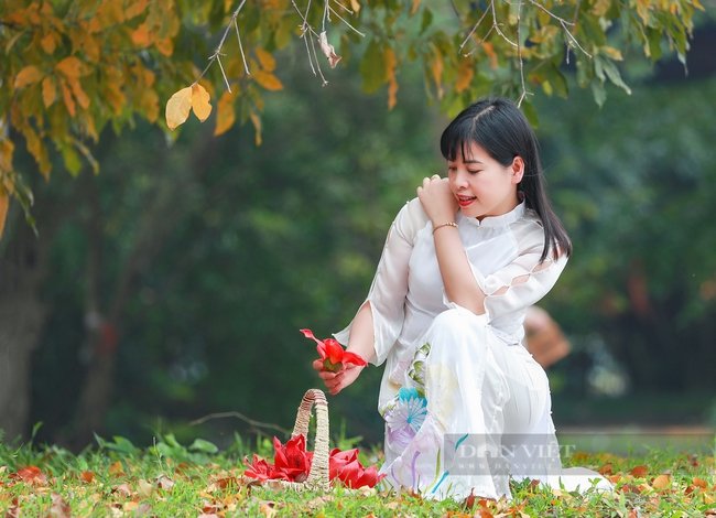Khám phá vẻ đẹp mùa hoa gạo tháng 3 ở Ninh Bình - Ảnh 2. Khám phá vẻ đẹp mùa hoa gạo tháng 3 ở Ninh Bình - Ảnh 2.