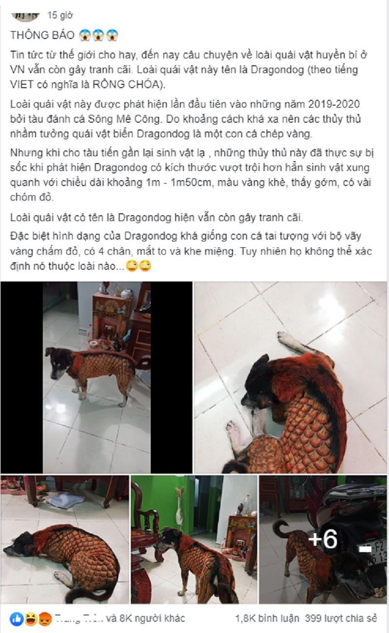  Bài đăng của chủ chú cún bị nhuộm lông giống rồng. (Ảnh chụp màn hình)