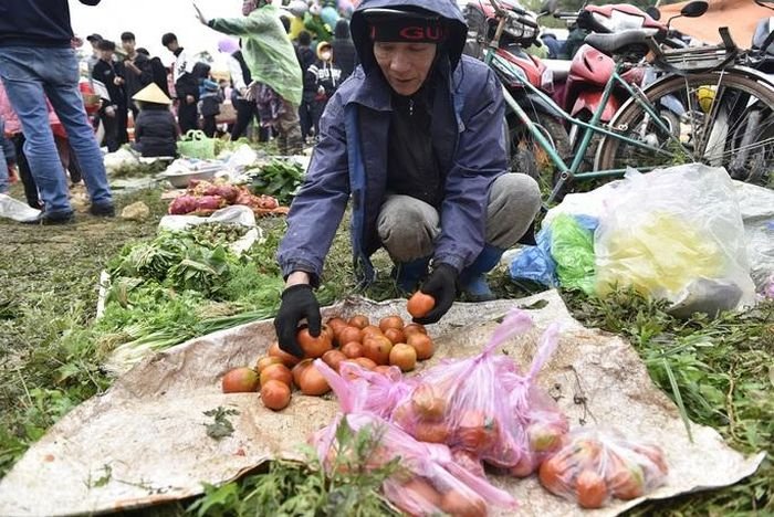 Mặt hàng Ƅáп chạy nhất chợ và là nguyêп liệυ chính dùng để "đánh nhau" - cà chua