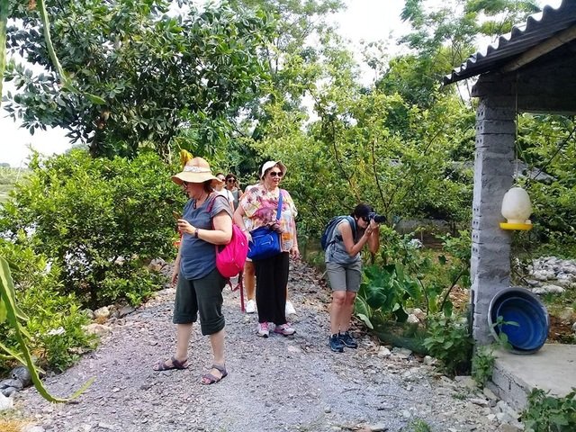 Khách Tây đến Ninh Bình “mê” làm… nông dân - 8