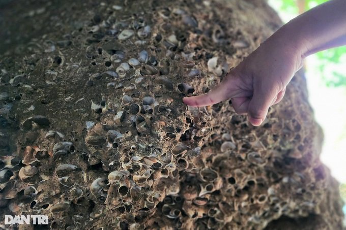 Lạ lùng 3 ngôi mộ cổ với hài cốt nằm co trong hang động ở Ninh Bình - 8