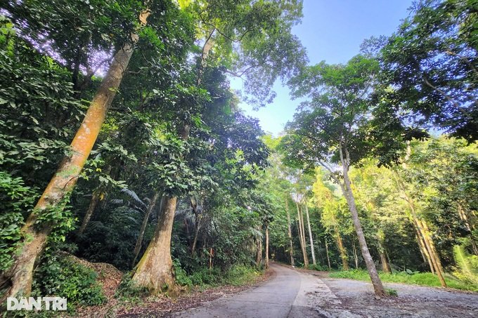 Lạ lùng 3 ngôi mộ cổ với hài cốt nằm co trong hang động ở Ninh Bình - 1