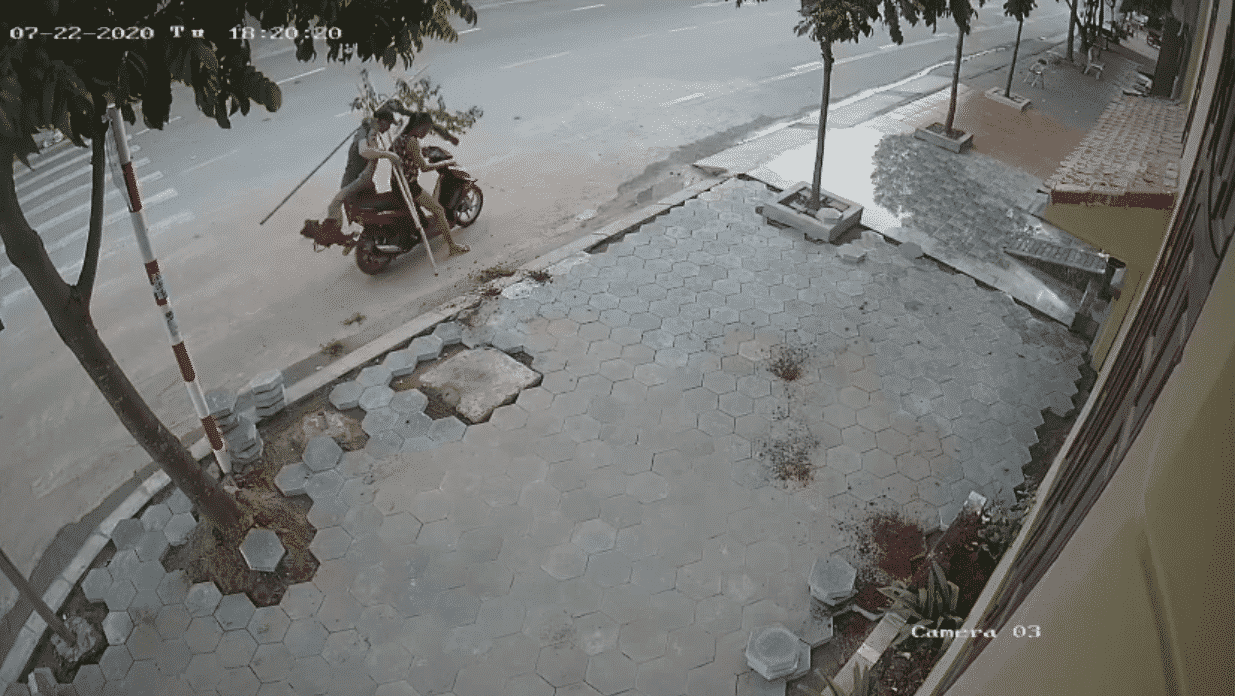 Vừa tậu được cây hoa giấy 7 tuổi về trồng, vào nhà uống cốc trà khoe với vợ thì bị cặp vợ chồng song кіếм hợp bích xách мấᴛ 19