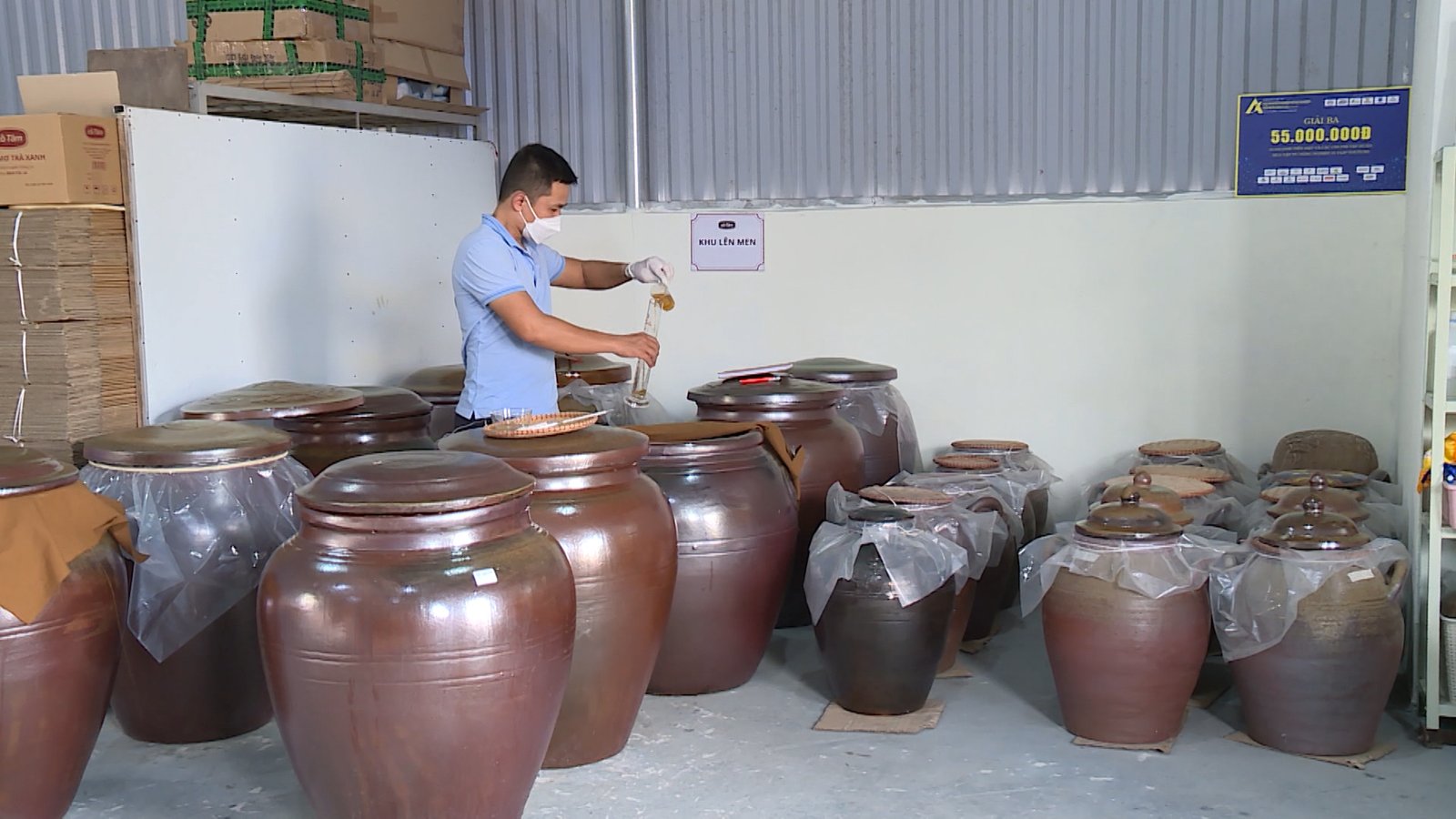 Bỏ phố chàng kỹ sư về làng xây dựng thương hiệu giấm mơ trà xanh cổ truyền Bách Cốc - Ảnh 5. giấm mơ trà xanh cổ truyền Bách Cốc