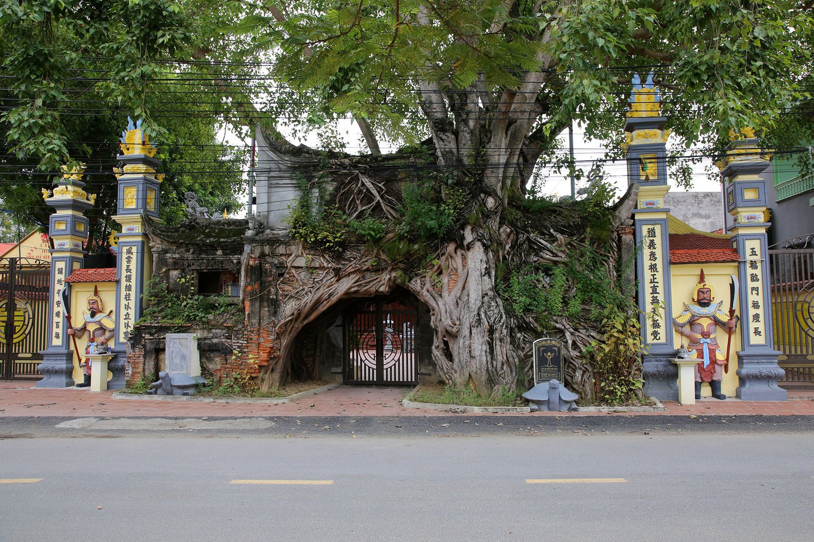 Những "kiệt tác" cổng làng có một không hai từ rễ cây độc đáo ở làng quê Bắc Bộ - Ảnh 13. Những "kiệt tác" cổng làng có một không hai từ rễ cây độc đáo ở làng quê Bắc Bộ - Ảnh 13.