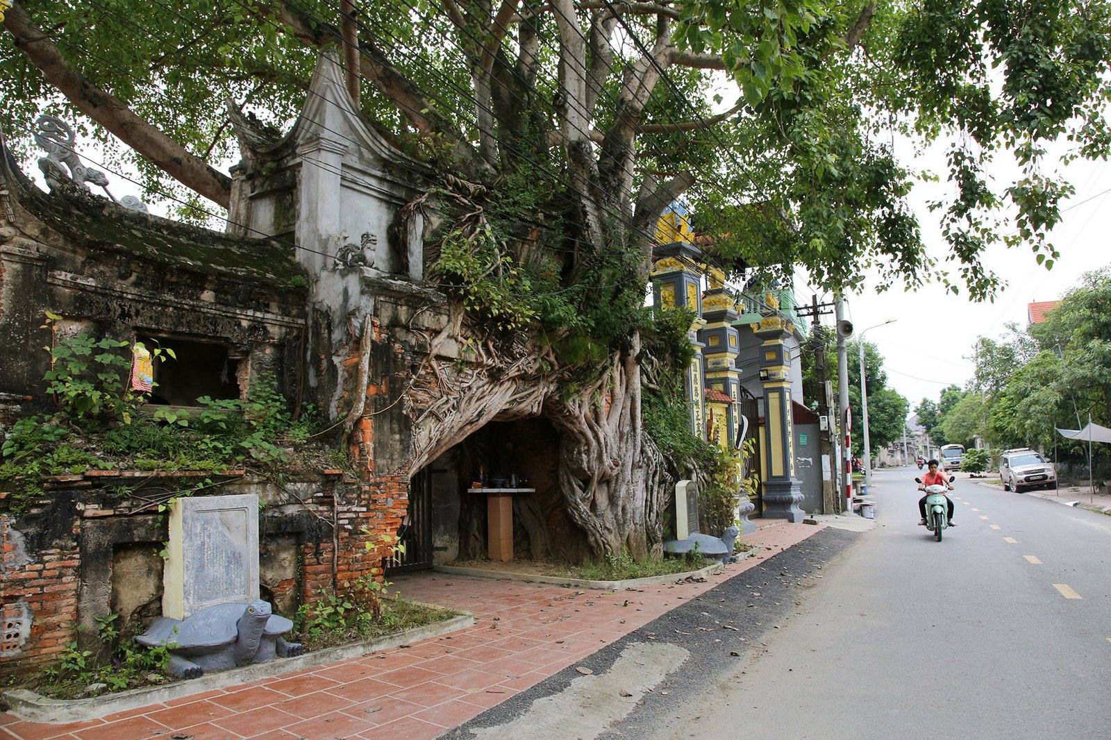 Những "kiệt tác" cổng làng có một không hai từ rễ cây độc đáo ở làng quê Bắc Bộ - Ảnh 7. Những "kiệt tác" cổng làng có một không hai từ rễ cây độc đáo ở làng quê Bắc Bộ - Ảnh 7.