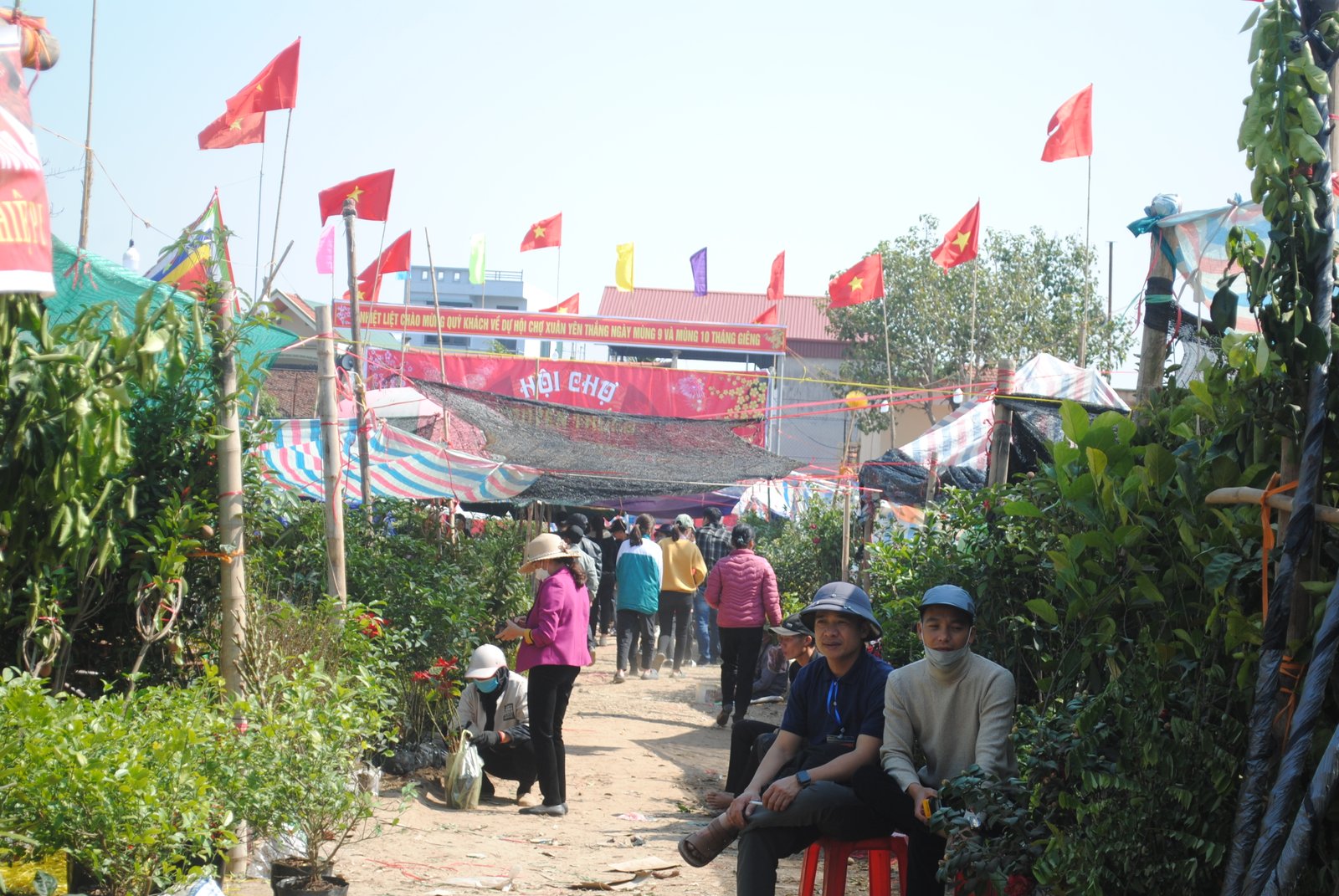 anh tin bai