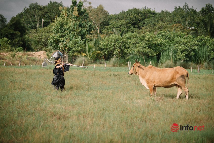 mẹ bầu hóa thân thành trư bát giới (11).jpg {keywords}