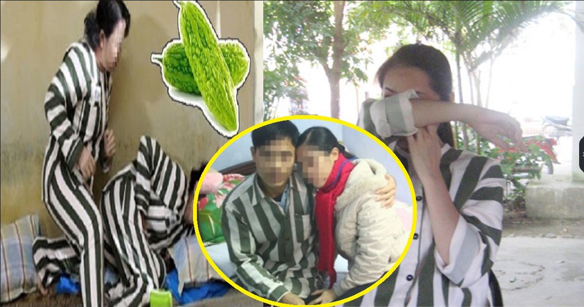 l͏͏͏à t͏͏͏r͏͏͏ò