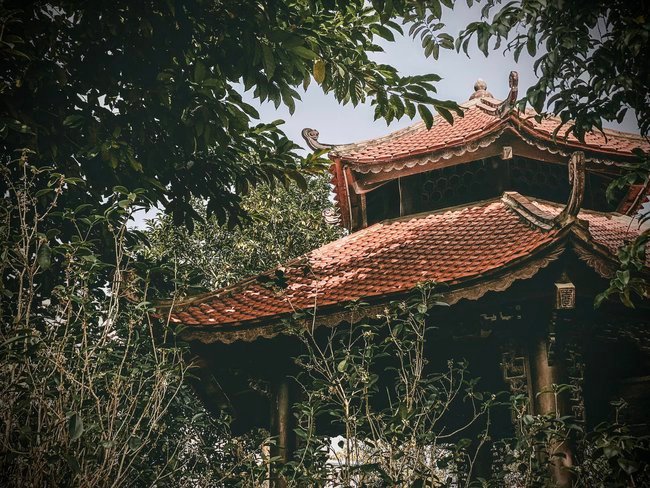 Biệt phủ gỗ lim rộng 1.000m2 ở Nam Định, đi nửa ngày chưa khám phá hết, chủ nhân hé lộ về dòng dõi trâm anh quyền thế - Ảnh 4. Biệt phủ gỗ lim rộng 1.000m2 ở Nam Định, đi nửa ngày chưa khám phá hết, chủ nhân hé lộ về dòng dõi trâm anh quyền thế - Ảnh 4.