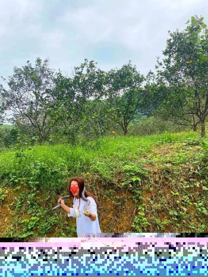 Cô gái xinh đẹp tay không bắt rắn hổ mang khiến dân mạng khiếp sợ: 'Mang về cho bố ngâm rượu' Ảnh 2