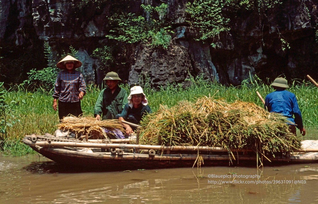 Anh tuyet voi ve vung dat Ninh Binh nam 1998 qua ong kinh Tay-Hinh-9