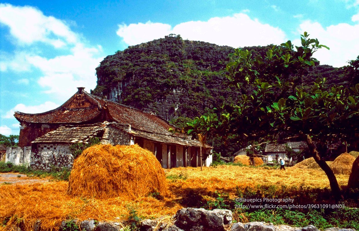 Anh tuyet voi ve vung dat Ninh Binh nam 1998 qua ong kinh Tay-Hinh-11