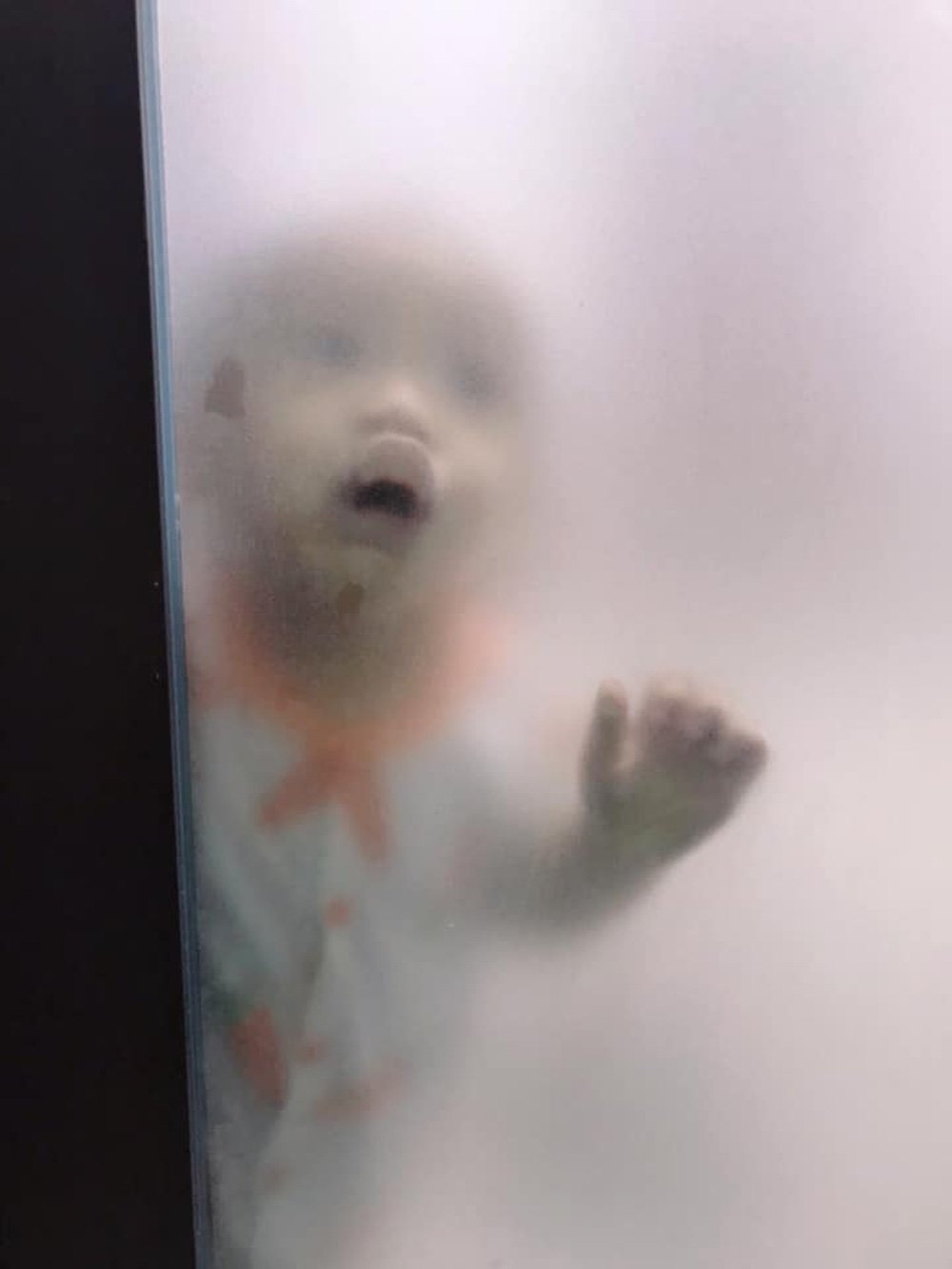 Đang ở trong nhà vệ sinh, người mẹ giật mình khi nhìn thấy hình ảnh bên ngoài cửa - Ảnh 2. Đang ở trong nhà vệ sinh, người mẹ giật mình khi nhìn thấy hình ảnh bên ngoài cửa - Ảnh 2.