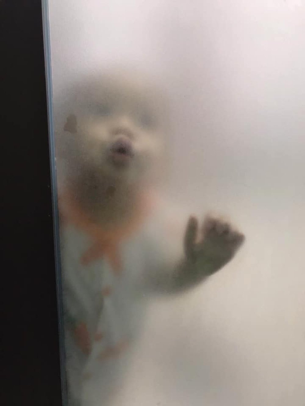 Đang ở trong nhà vệ sinh, người mẹ giật mình khi nhìn thấy hình ảnh bên ngoài cửa - Ảnh 3. Đang ở trong nhà vệ sinh, người mẹ giật mình khi nhìn thấy hình ảnh bên ngoài cửa - Ảnh 3.