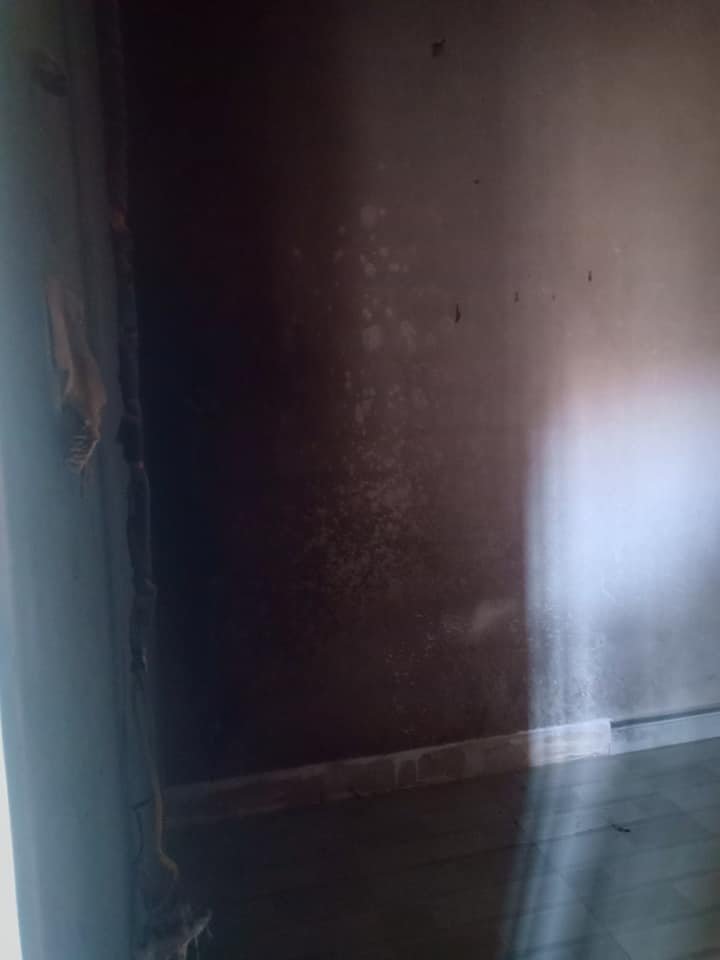 Auto Draft Auto Draft